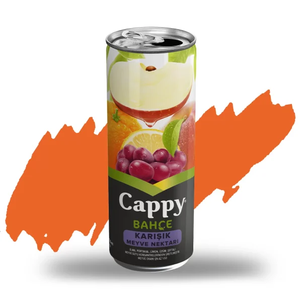 V076 Cappy (33 cl.)